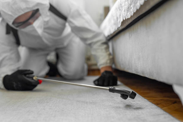 Professional Pest Control technician working in Hudson, IA
