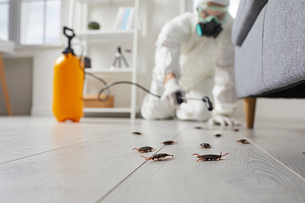 Trusted Termite Control service in Hudson, IA - Nex Pest Control
